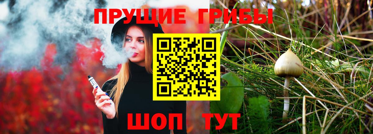 Кохма  Галлюциногенные грибы мухоморы  Вход с VPN 