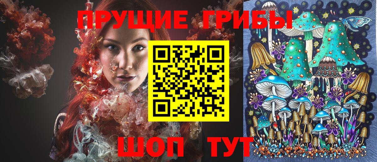 Галлюциногенные грибы мицелий Кохма