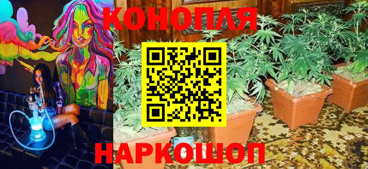 Бошки Шишки гибрид Кохма